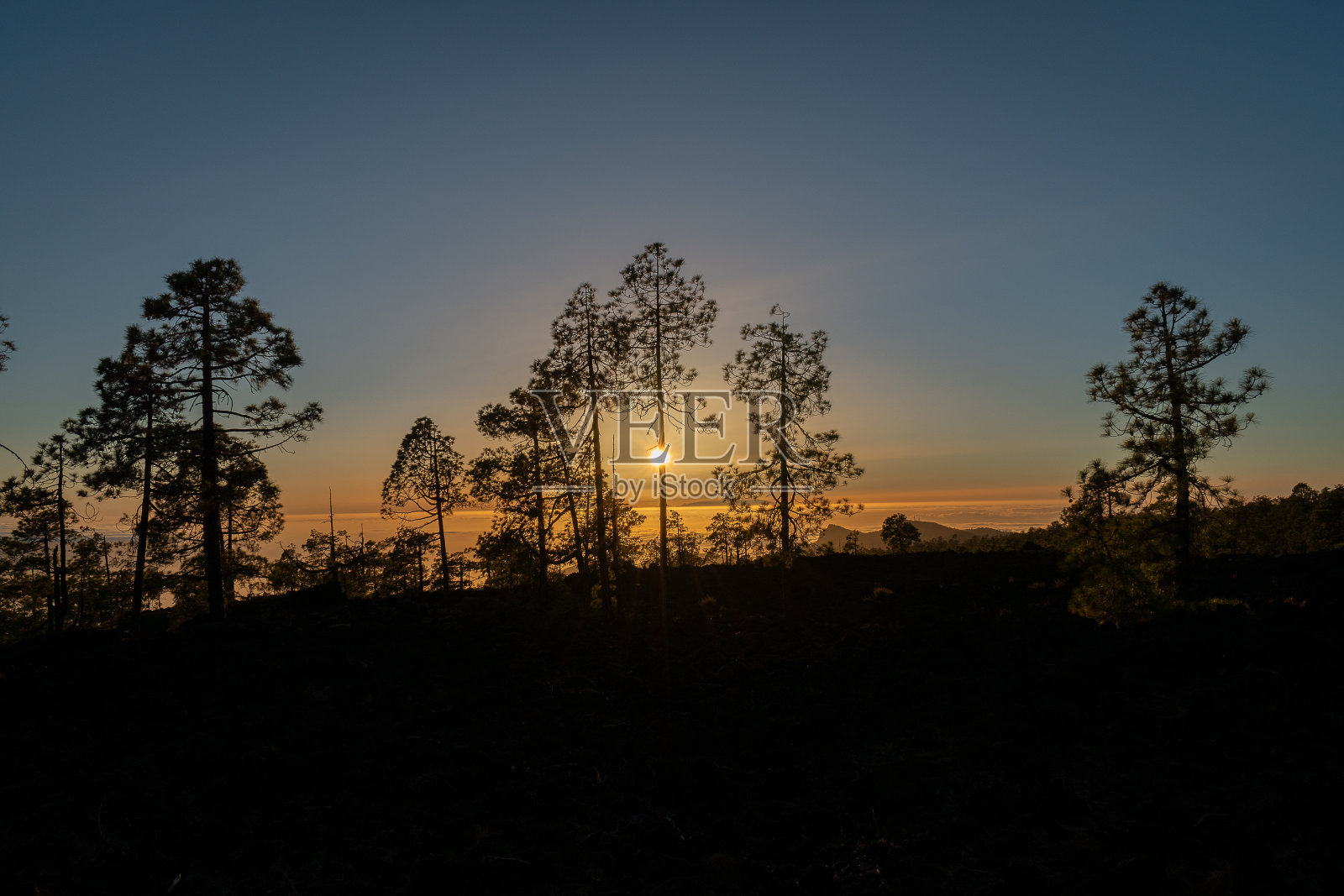 美丽的景色与树木在令人惊叹的日落天空下照片摄影图片