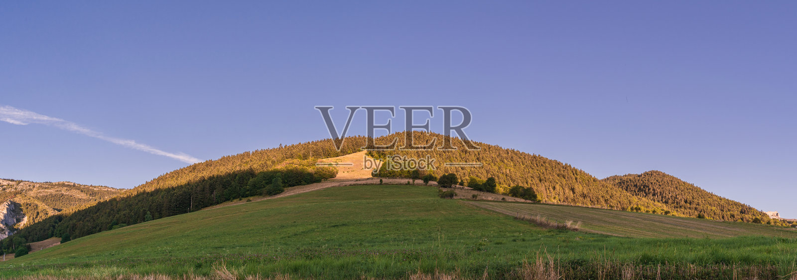 美丽的草地景观，有山丘和许多树木，在明亮的天空下照片摄影图片