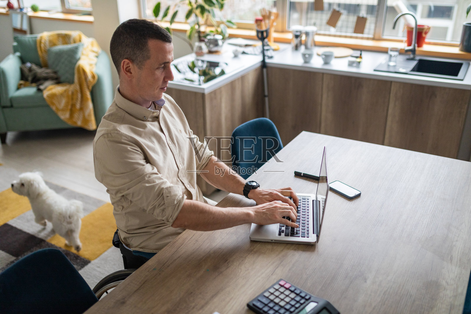 坐在轮椅上用笔记本电脑工作的男人照片摄影图片