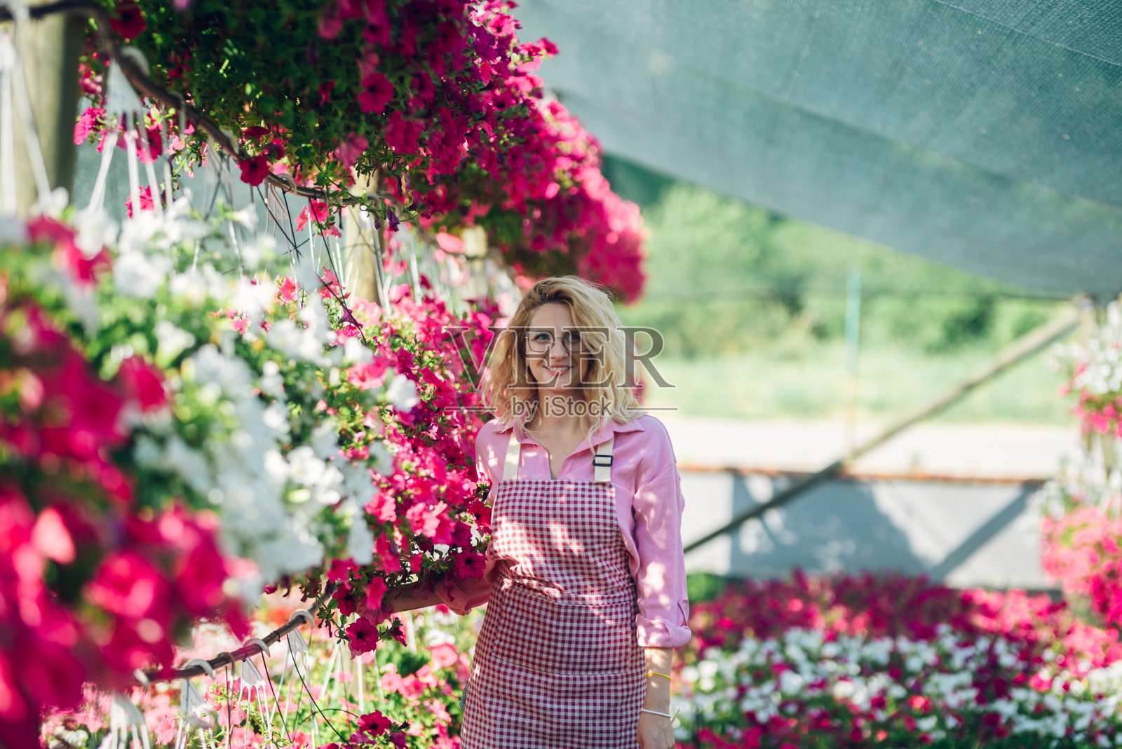 年轻的女人在温室里工作，照顾植物照片摄影图片