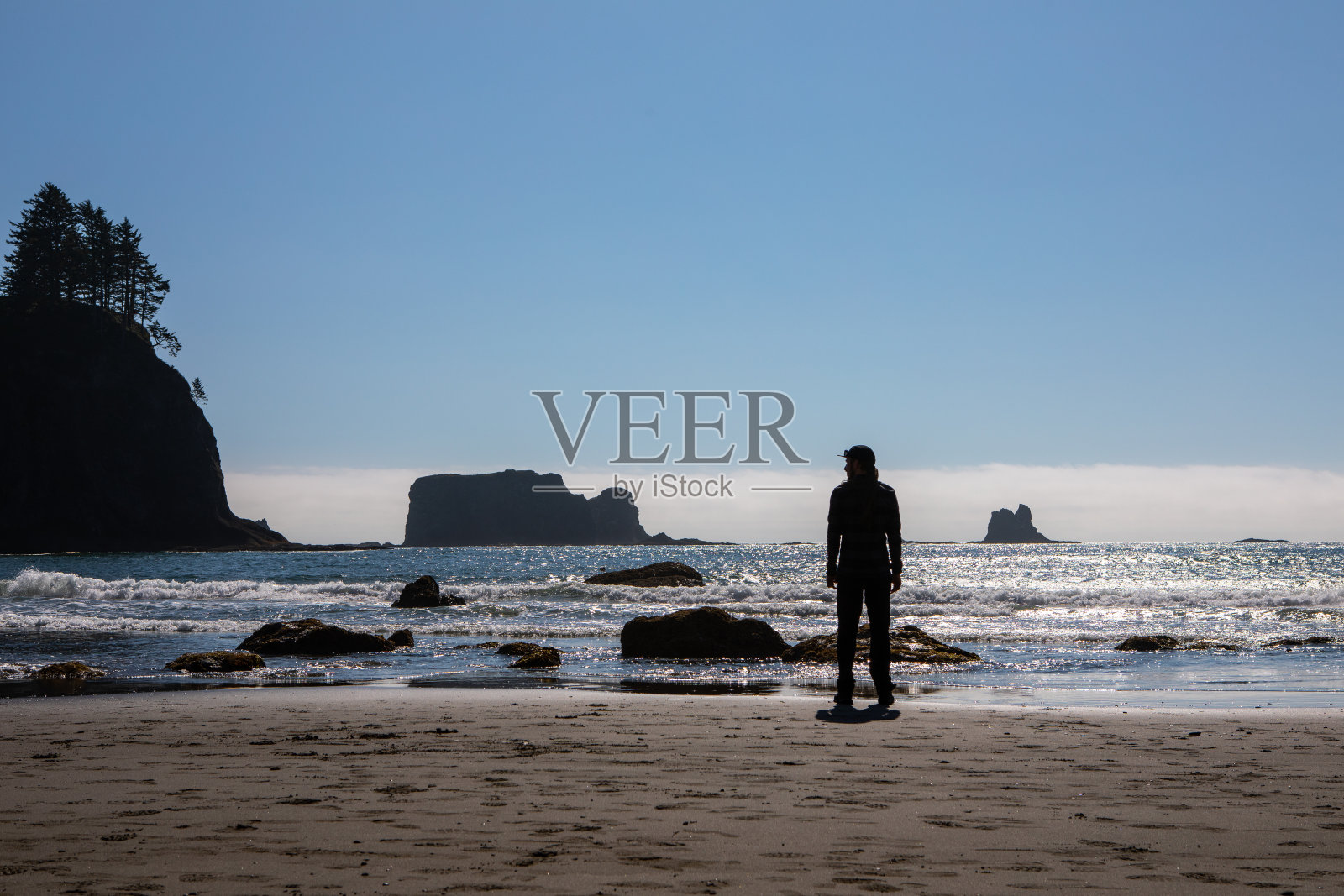 男人看太平洋西北海滩白天奥林匹克国家森林国家公园拉普什海滩太阳天空福克斯华盛顿太平洋照片摄影图片