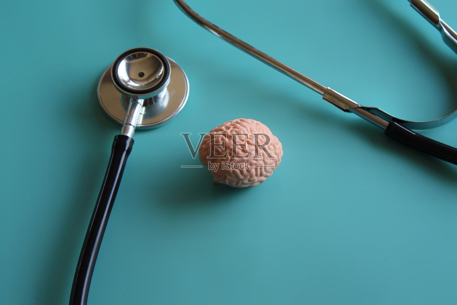 人脑模型和听诊器照片摄影图片