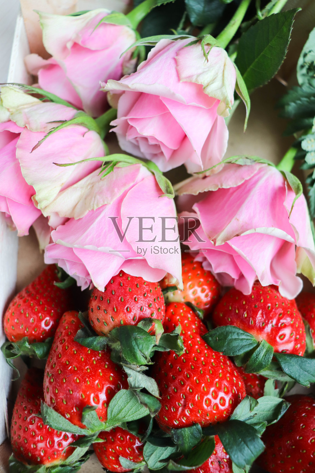 白盘子里放着成熟的草莓和一束玫瑰照片摄影图片