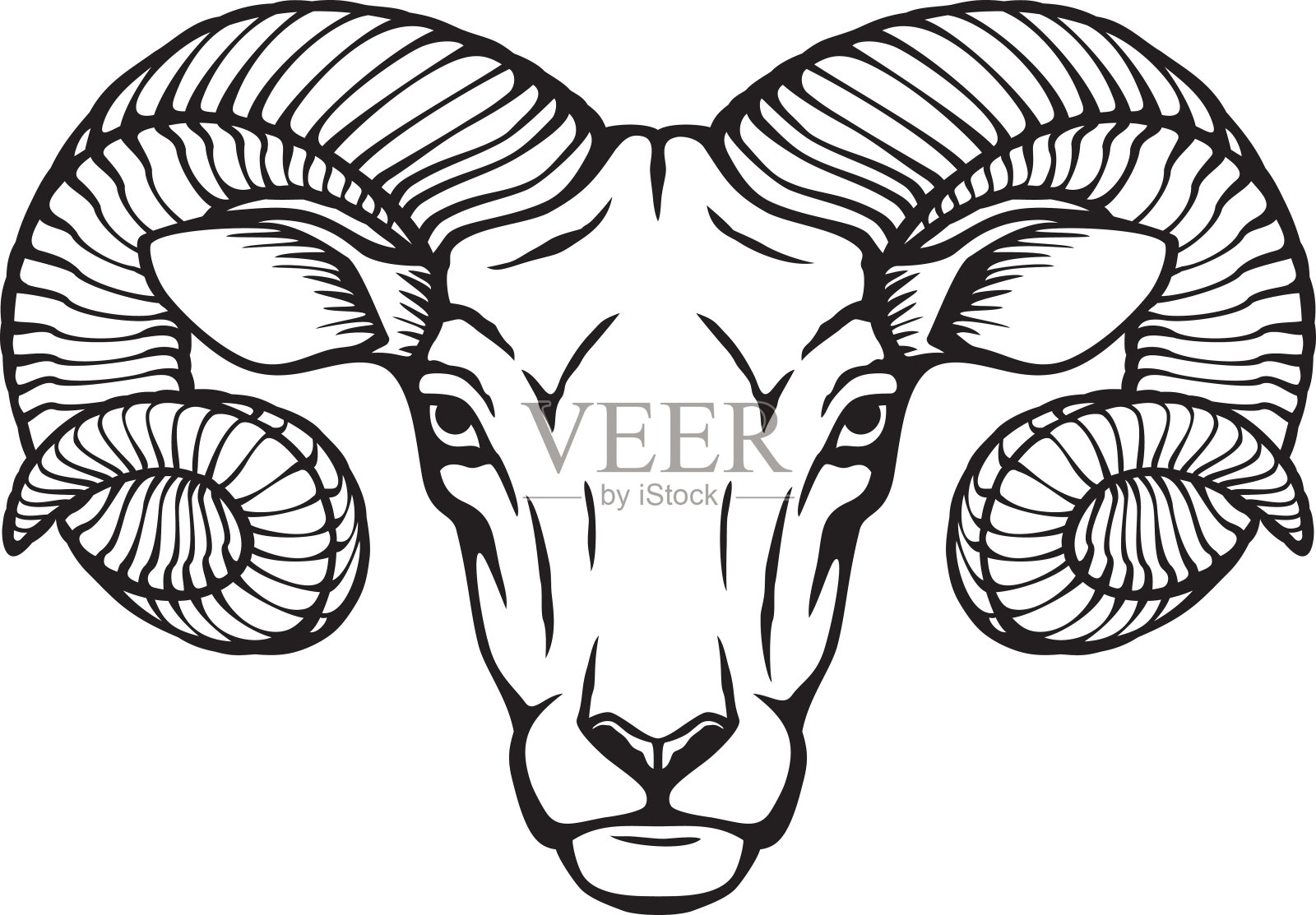 公羊头黑白相间插画图片素材