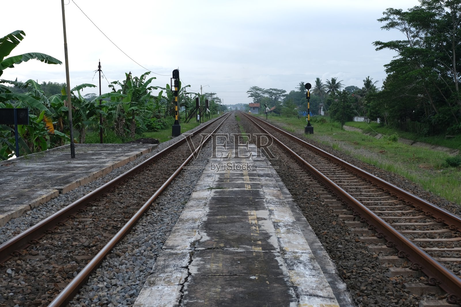 乡村场景中的铁路轨道特写照片摄影图片