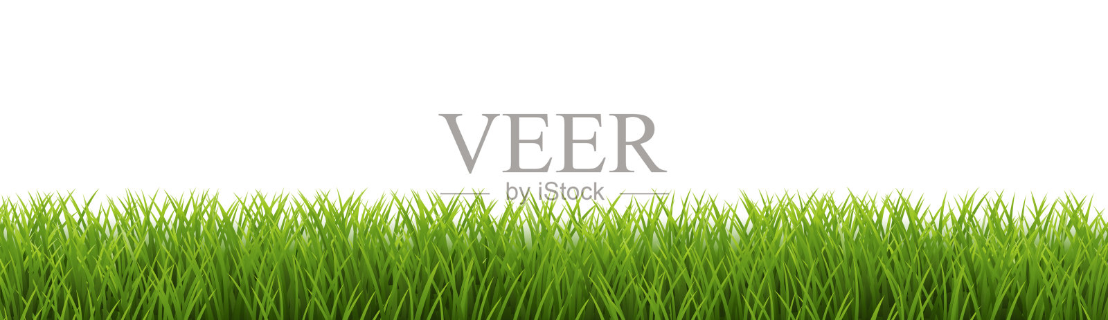 草边和白色背景插画图片素材