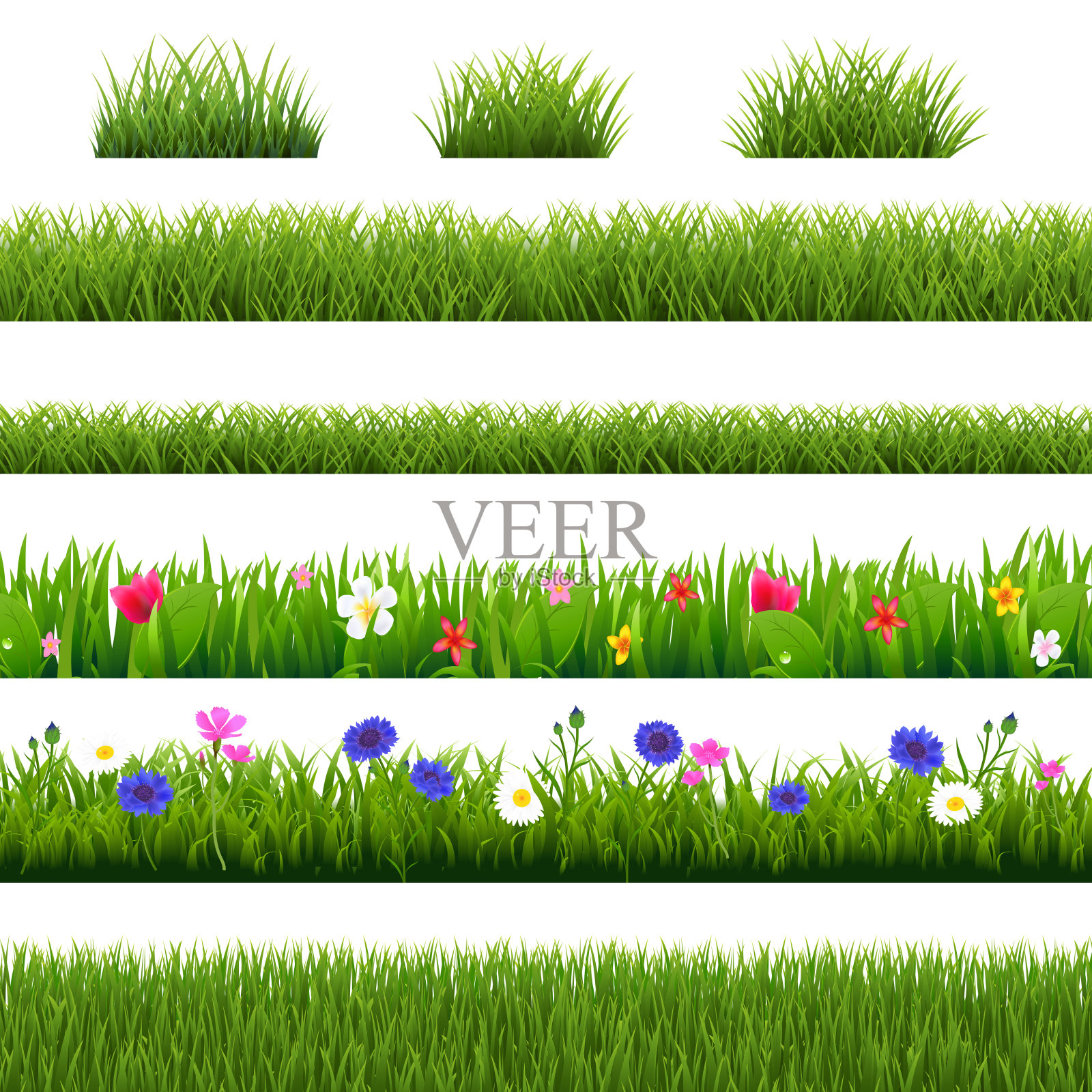 花和草孤立边界白色背景插画图片素材