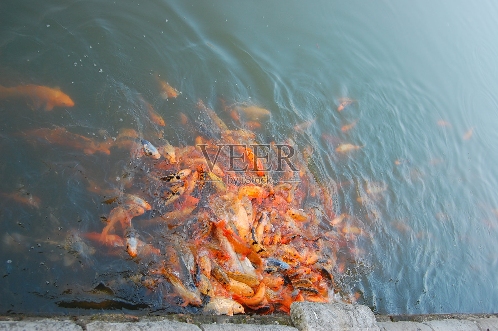 越南古都顺化皇城照片摄影图片