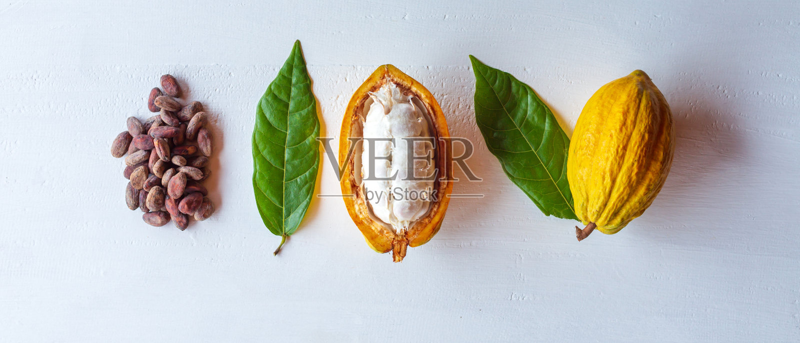 顶部视图成熟的新鲜滑动可可荚，一半切开的可可果，干燥的棕色可可豆与绿色的可可叶在白色的木制背景照片摄影图片