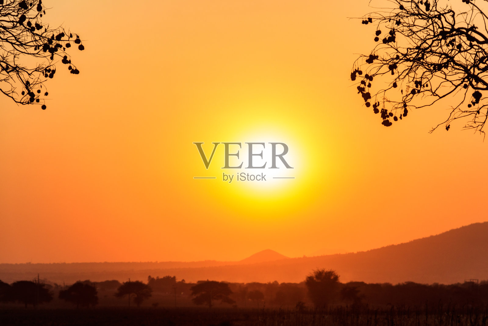 坦桑尼亚大草原上美丽的非洲日落照片摄影图片