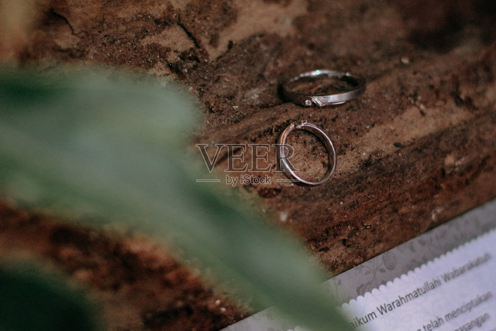 木头上的两枚戒指照片摄影图片