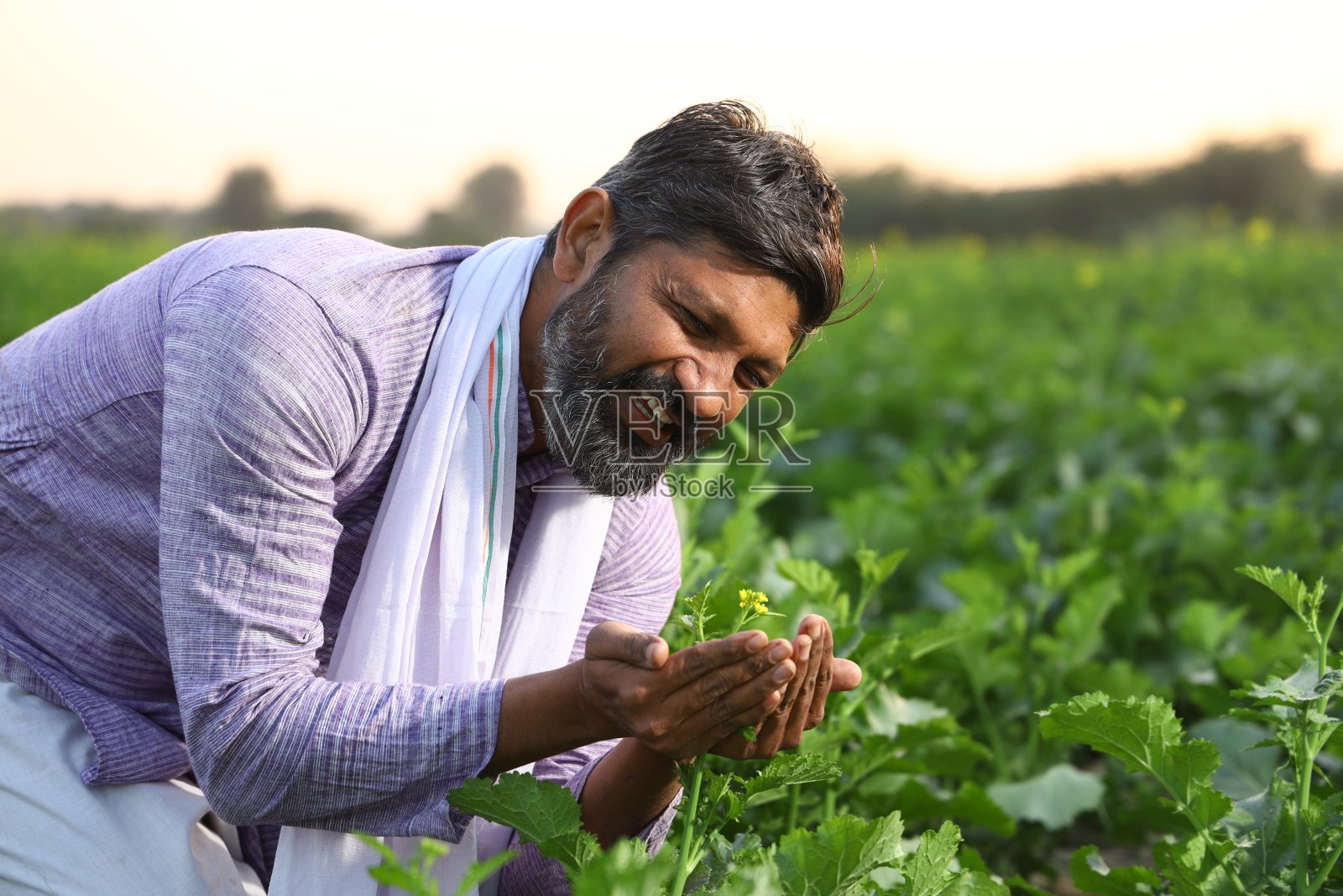 快乐的印度农民正在欣赏一朵花。照片摄影图片