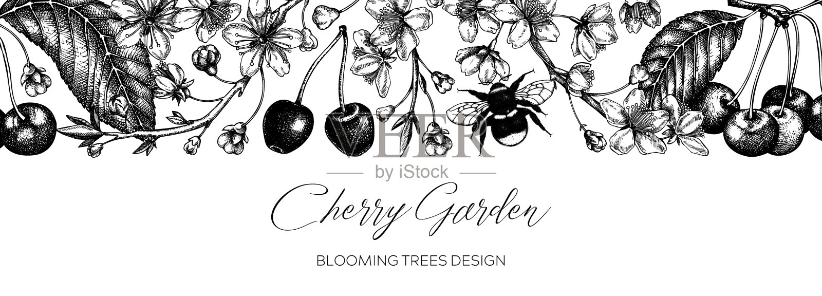 樱花树枝背景插画图片素材