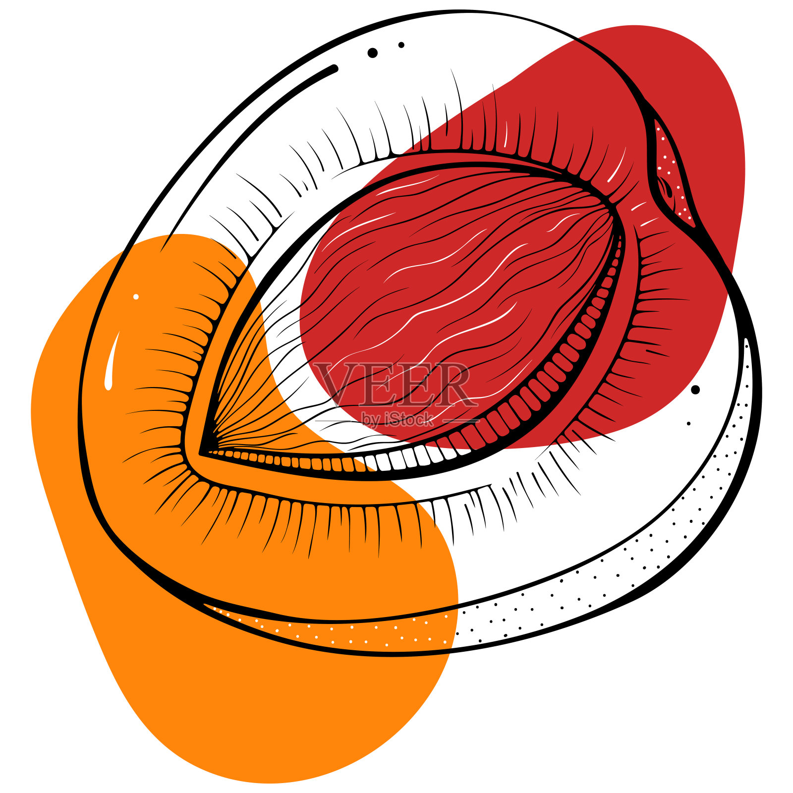 半杏形轮廓抽象斑点插画图片素材