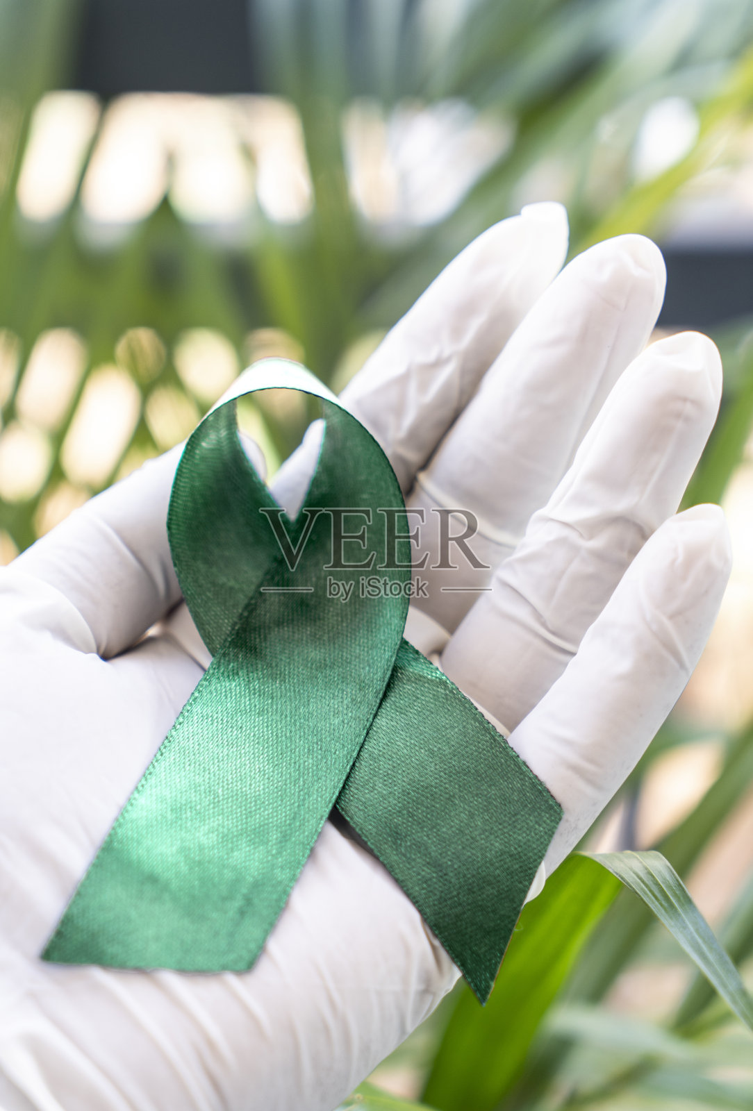 世界青光眼日概念图照片摄影图片