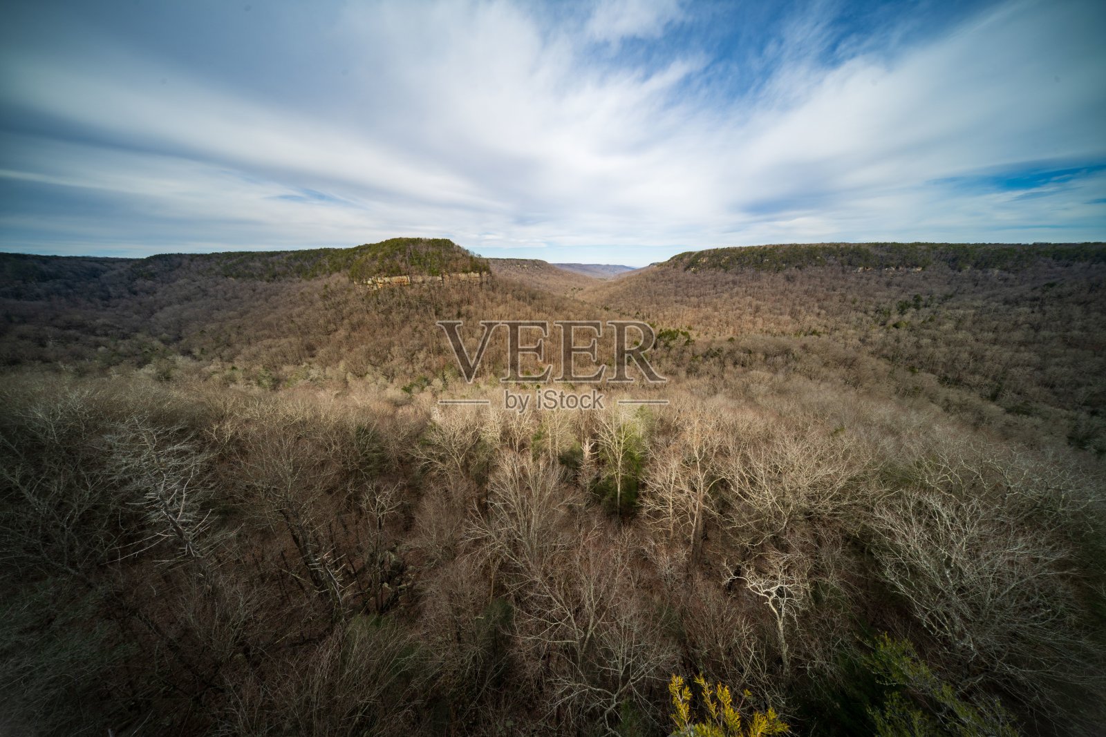 广阔的干旱景观的广角鸟瞰图，以稀疏的死树和灌木为特色照片摄影图片