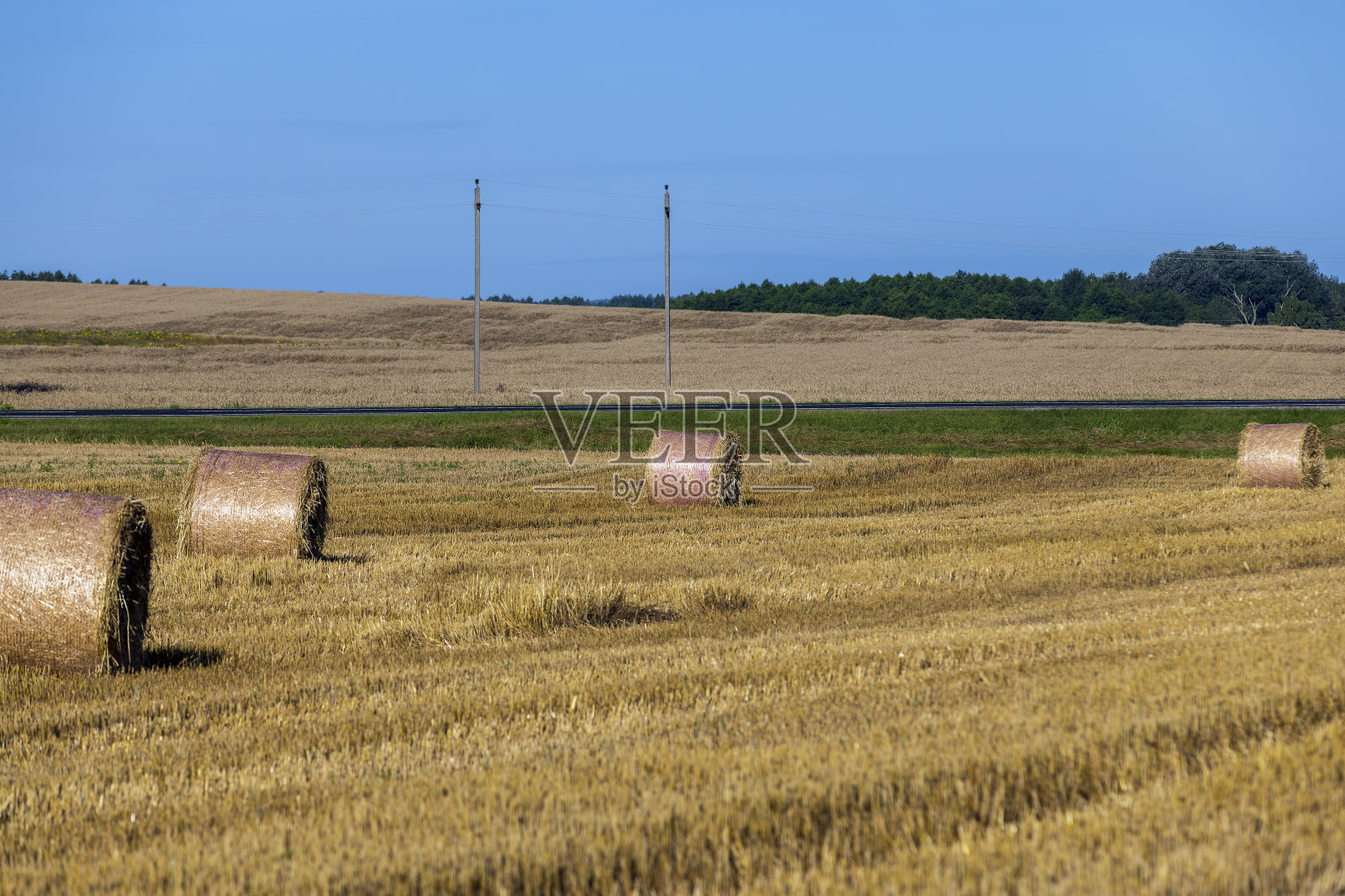 麦收后，田里成堆的枯黄稻草照片摄影图片