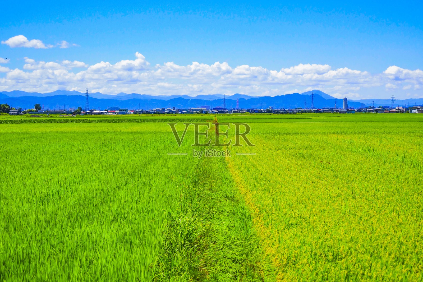 蓝天和日本乡村照片摄影图片