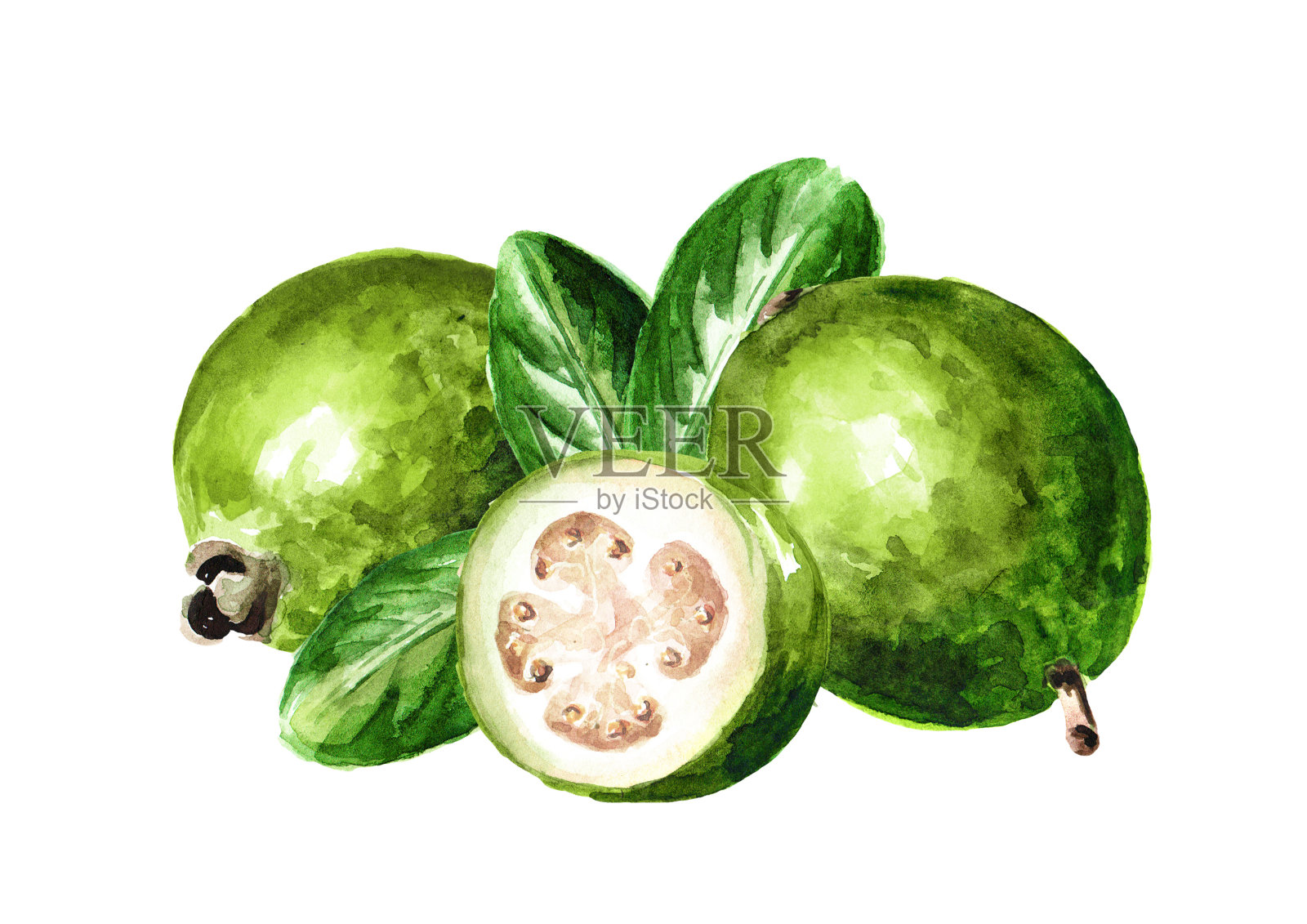 整片切好带叶的feijoa水果。手绘水彩插图孤立的白色背景插画图片素材