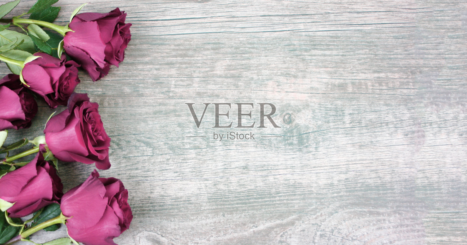 春天季节静物与美丽的淡粉色玫瑰白木背景花花花束装饰边界母亲节或情人节假期照片摄影图片