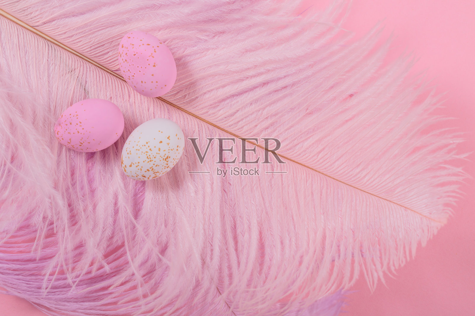 复活节糖果巧克力蛋和有粉红色羽毛的杏仁糖果照片摄影图片