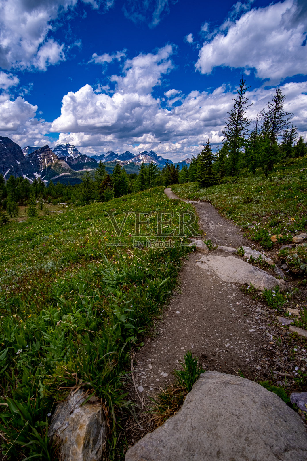 进入阿尔卑斯山照片摄影图片