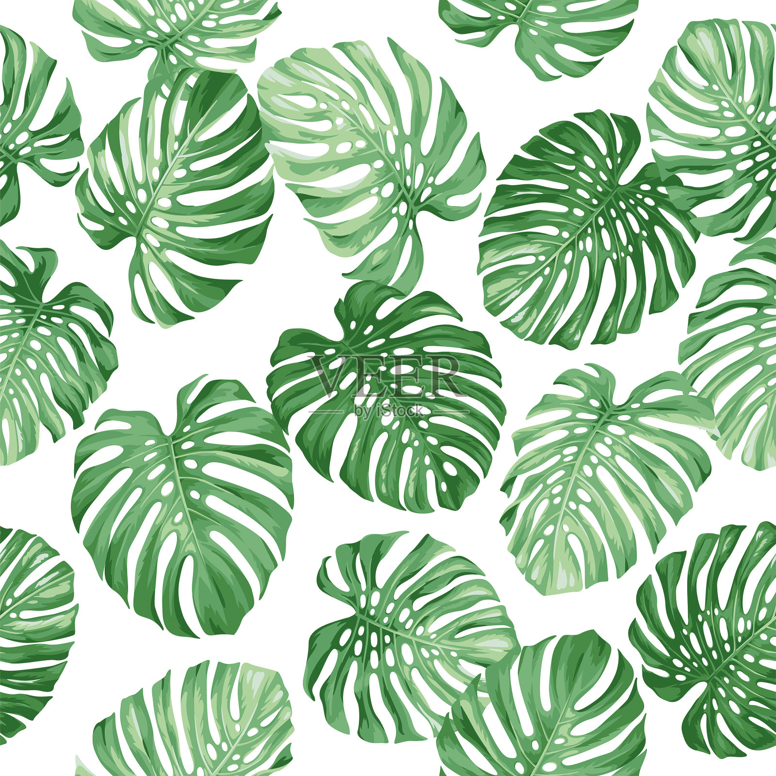 热带无缝模式与怪物的叶子。外来植物。夏威夷的设计。矢量插图。植物的背景。插画图片素材