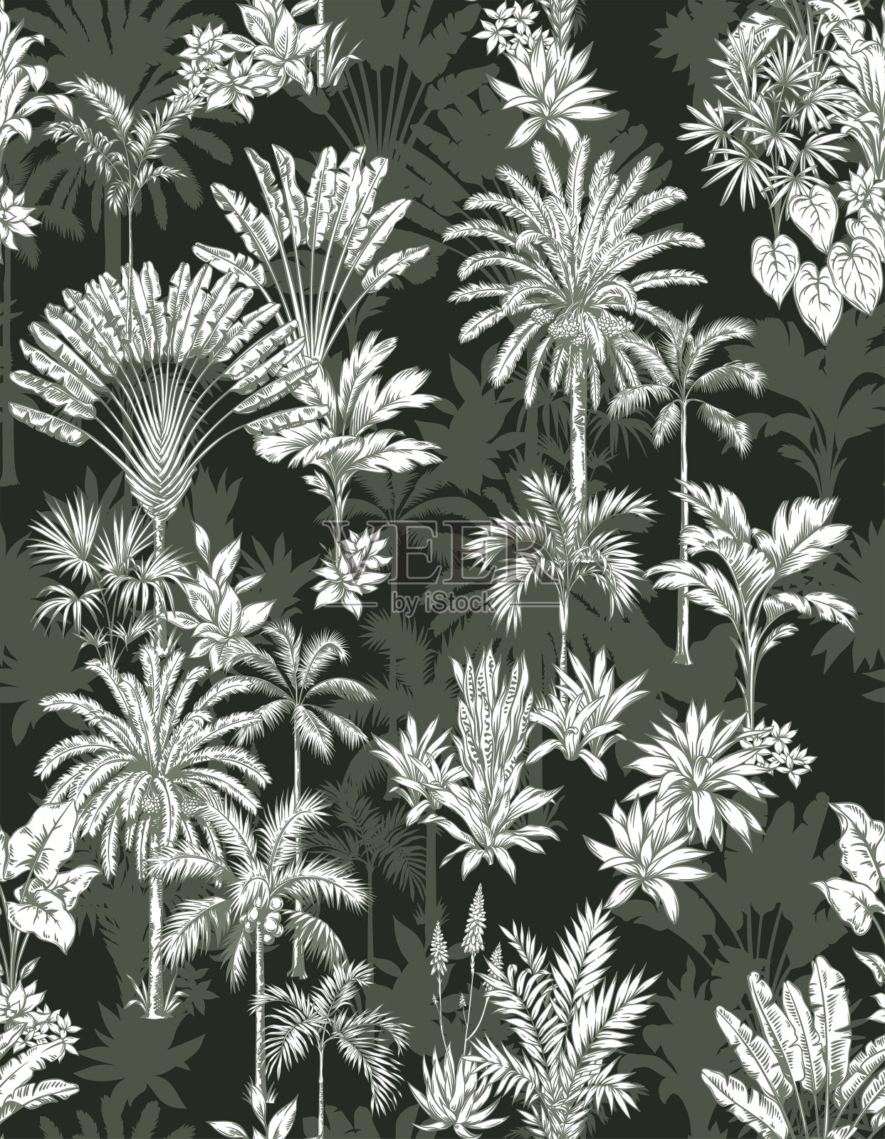 夏威夷无缝模式与热带棕榈树。热带雨林中的外来植物。笔画，线性风格。矢量植物学插图。叶的设计。插画图片素材