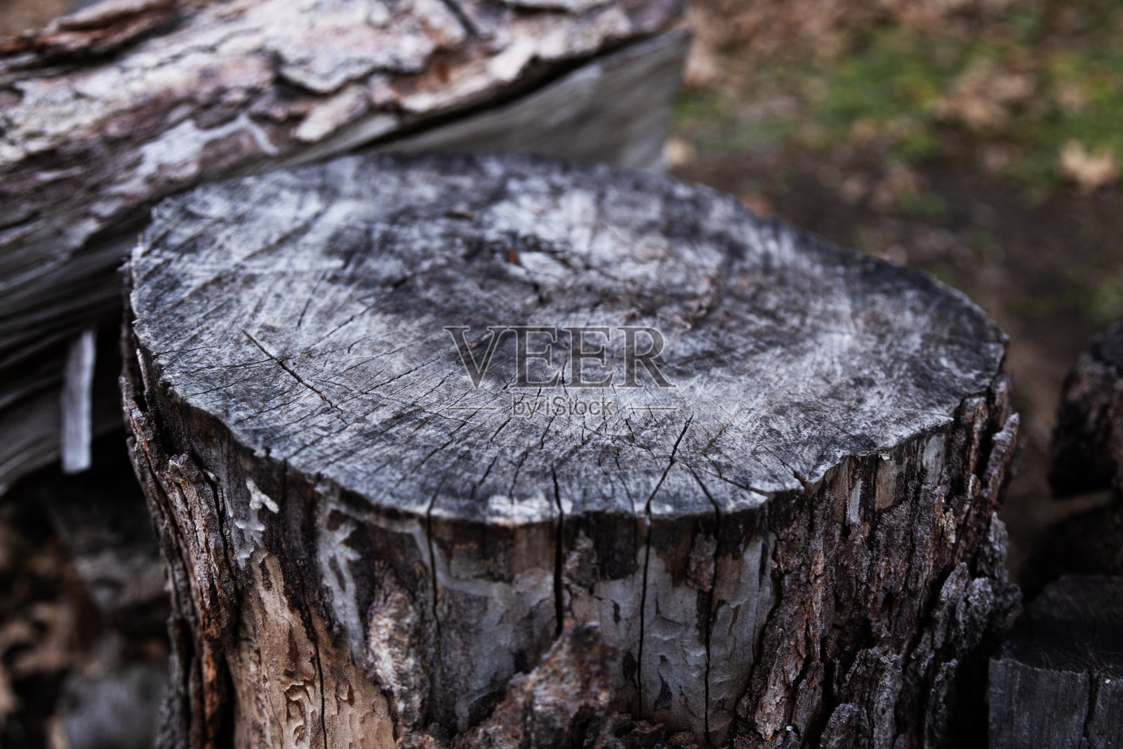 木桩砧板照片摄影图片