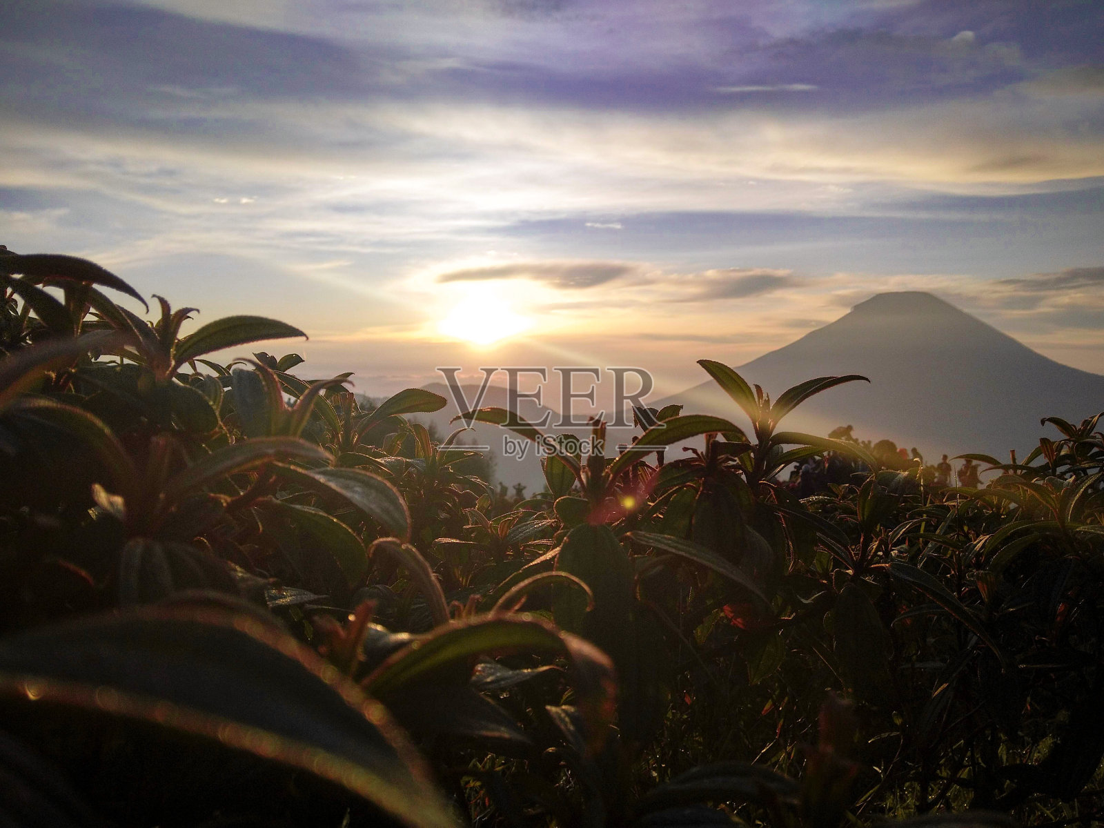 西库尼尔的早晨照片摄影图片