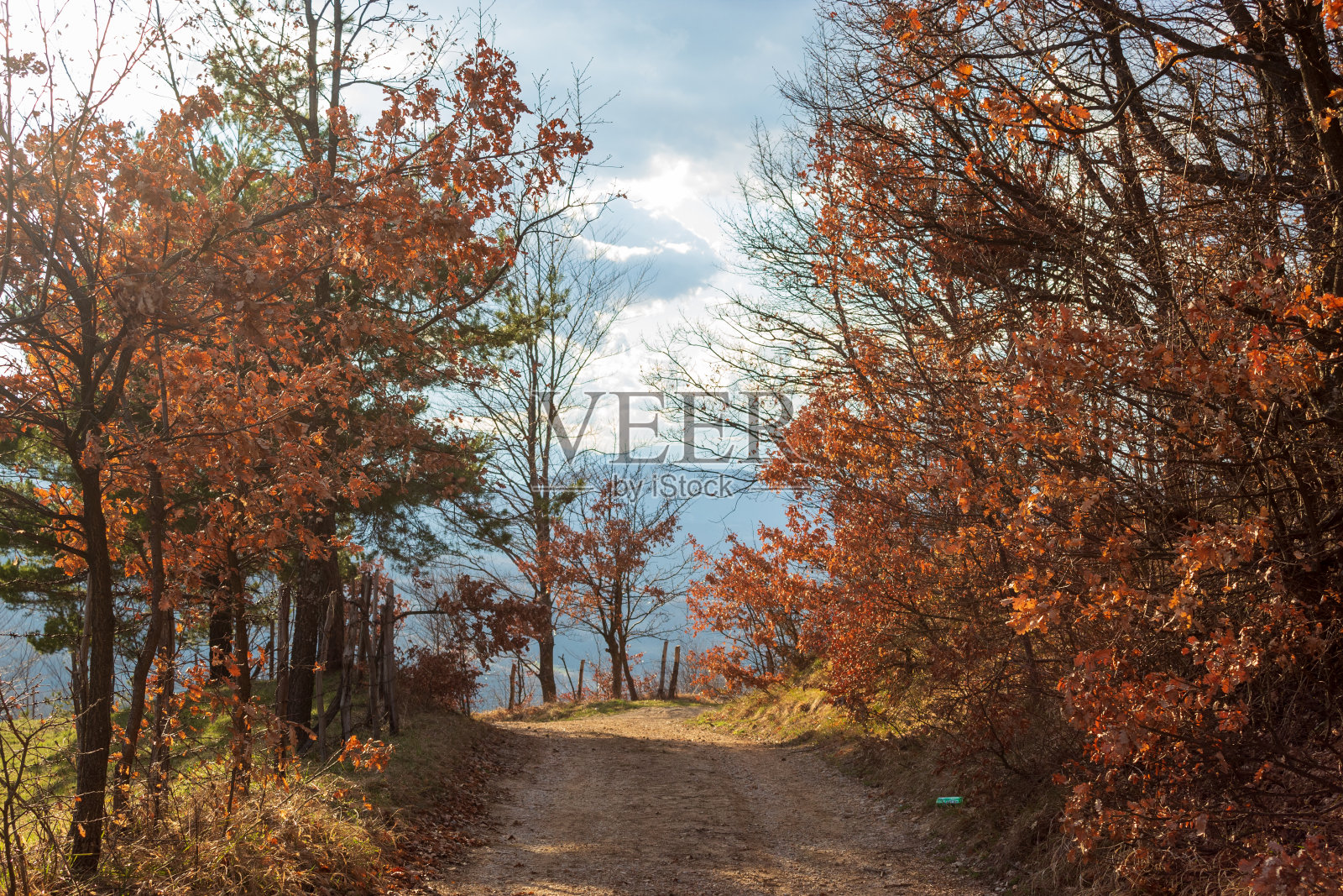 春天来临照片摄影图片