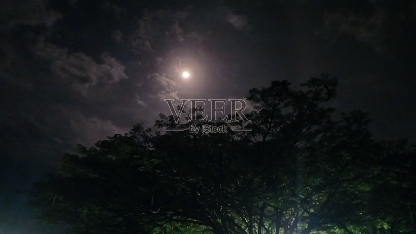 月光下的夜晚，树后乌云密布照片摄影图片