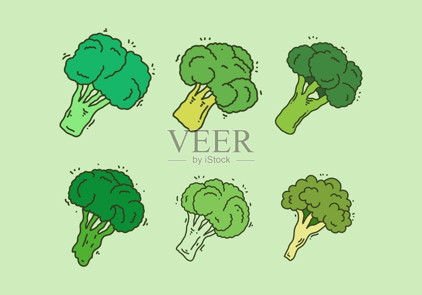 绿色的花椰菜套装设计插画图片素材