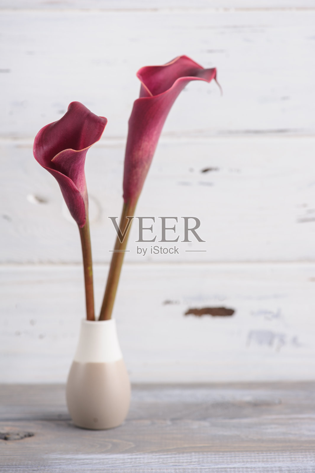 实物木制背景与紫色马蹄莲lilly照片摄影图片