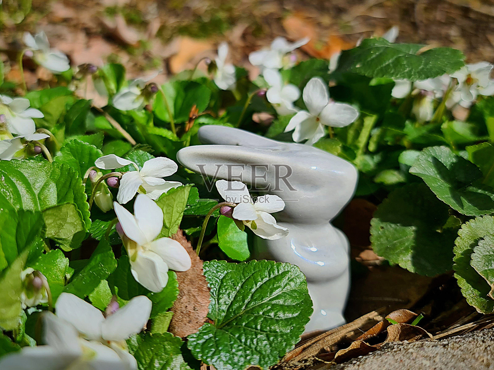 灰色复活节兔子照片摄影图片