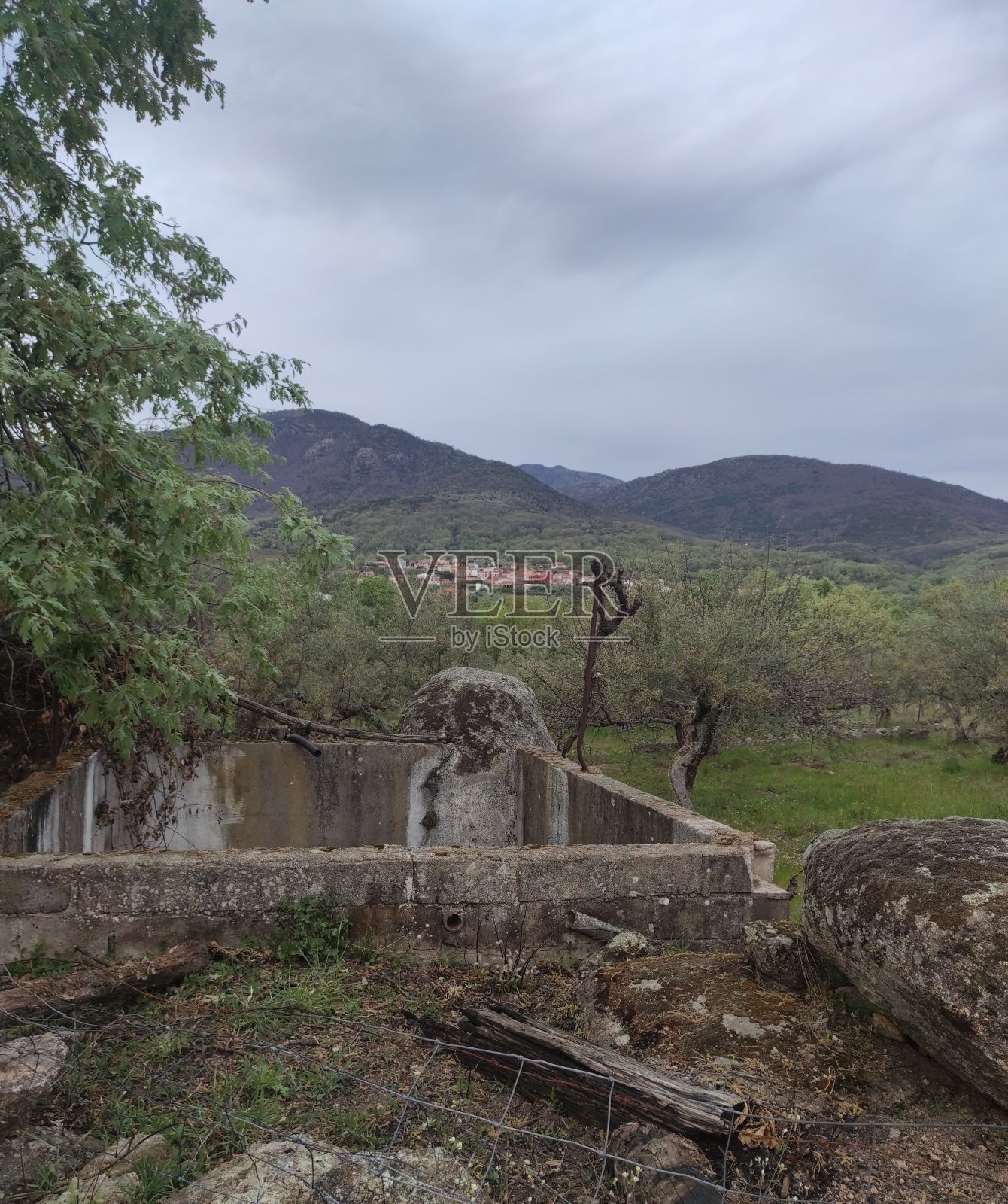 游泳池照片摄影图片