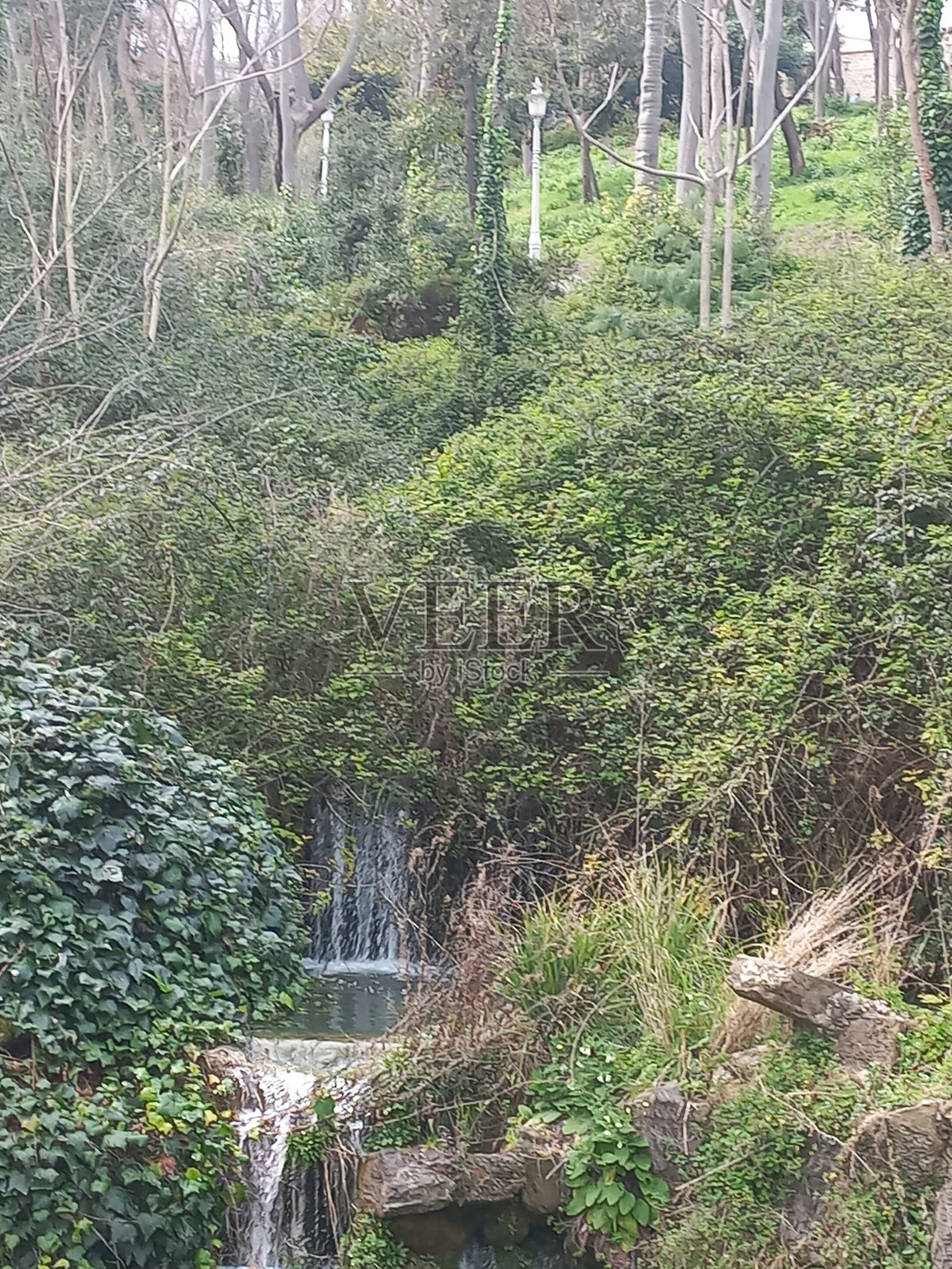 Yıldız Park İstanbul照片摄影图片