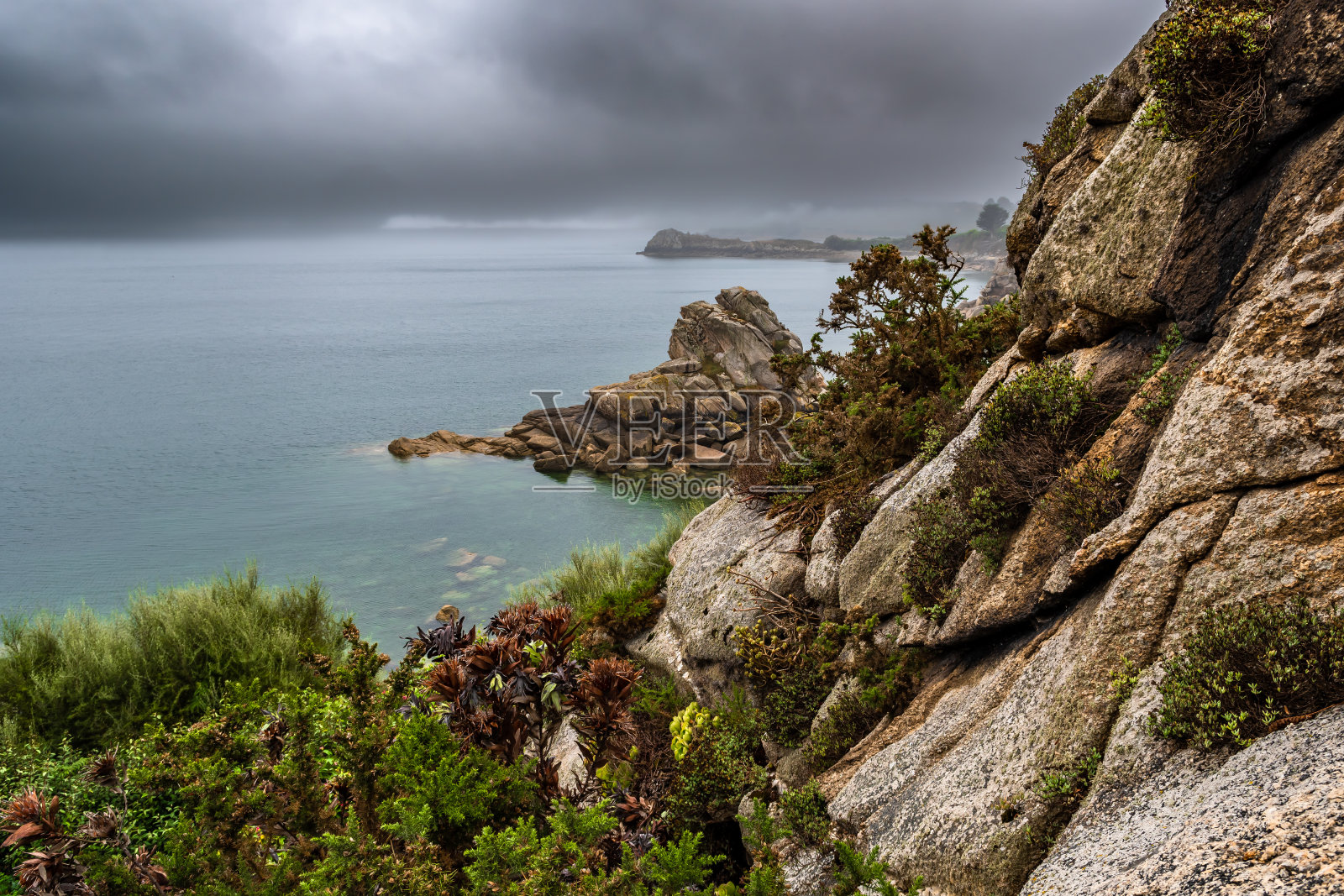 法国布列塔尼大西洋海岸的罗斯科夫村的异国情调花园照片摄影图片