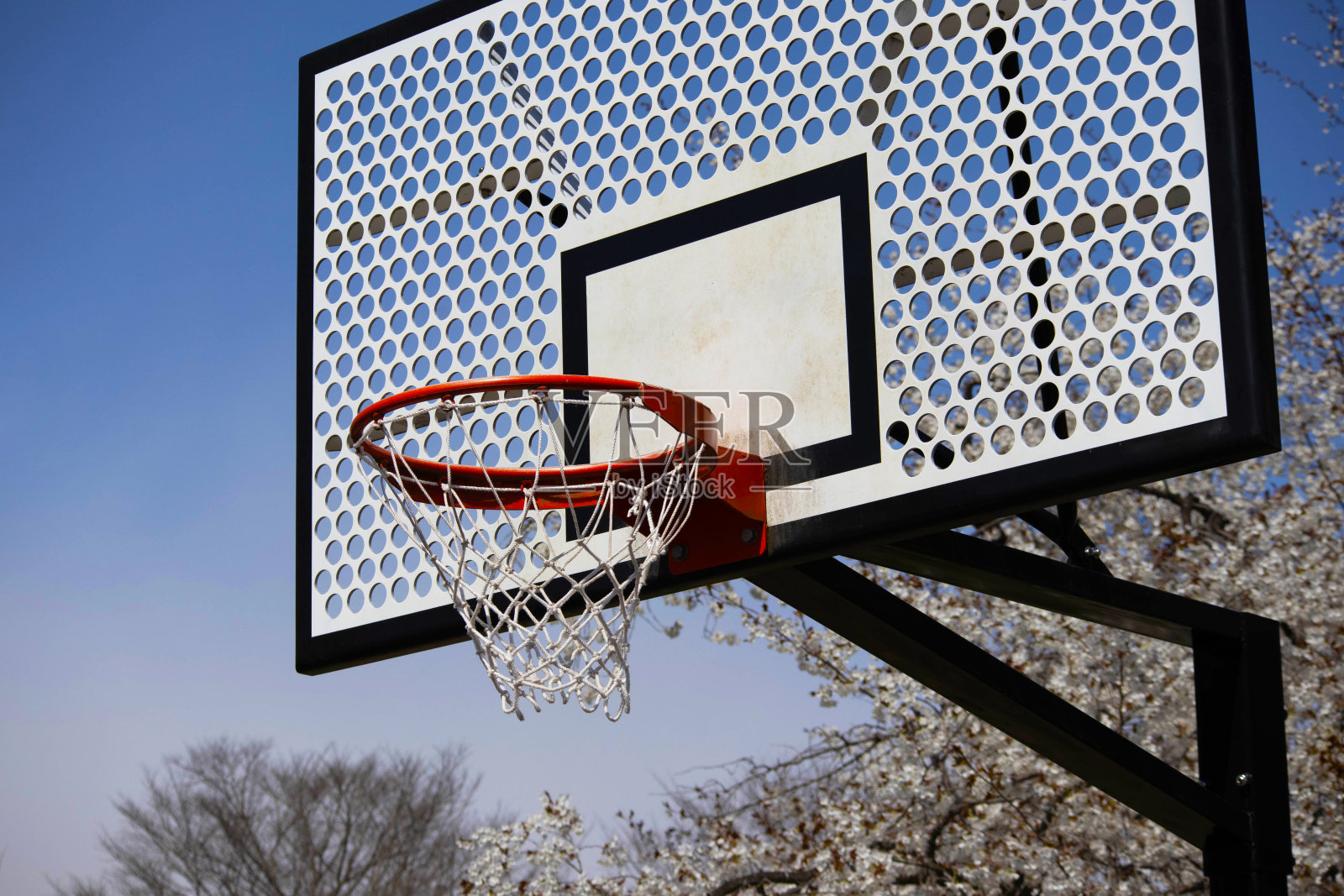 篮球的目标照片摄影图片