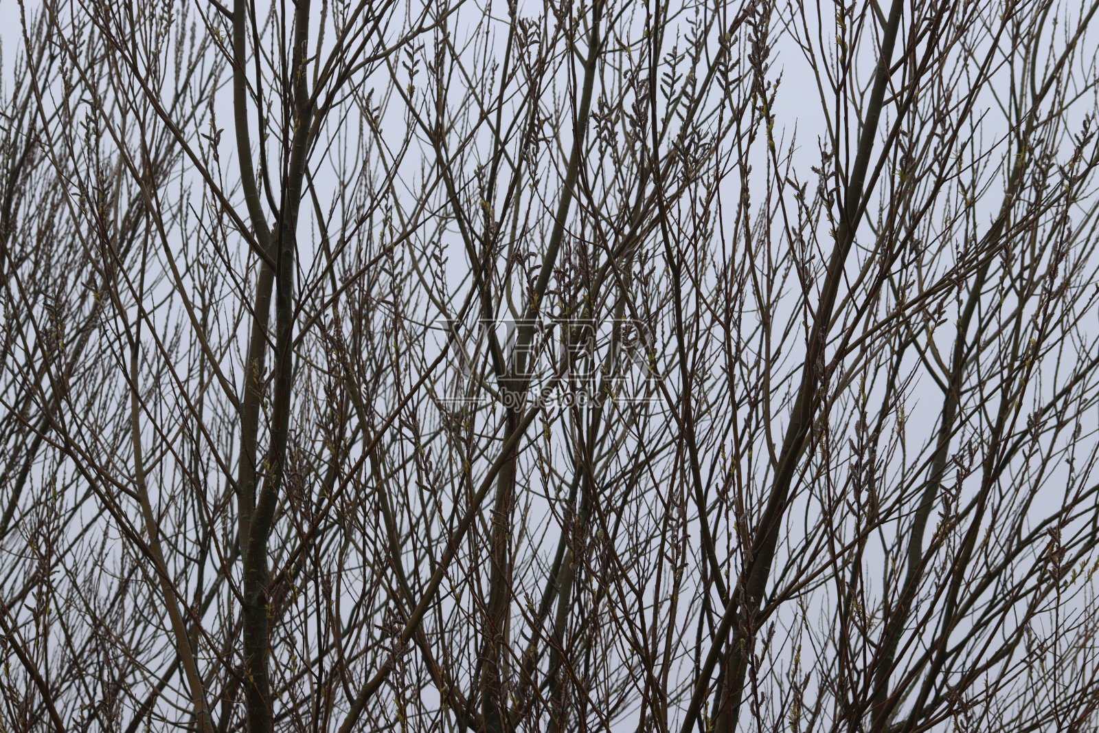 分支机构照片摄影图片