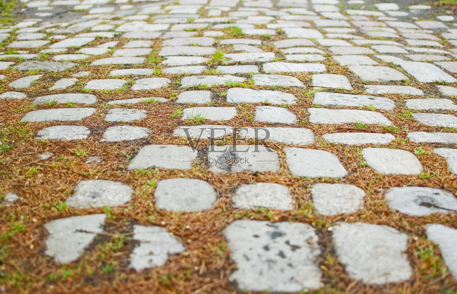 古老的杂草丛生的鹅卵石——靠近。照片摄影图片