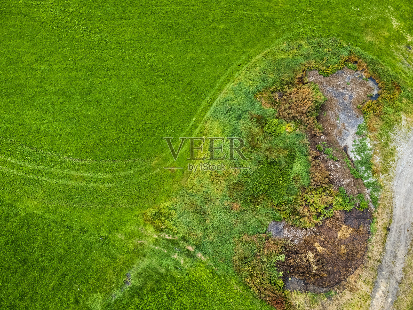 布雷斯湖及其山谷的秋天。照片摄影图片