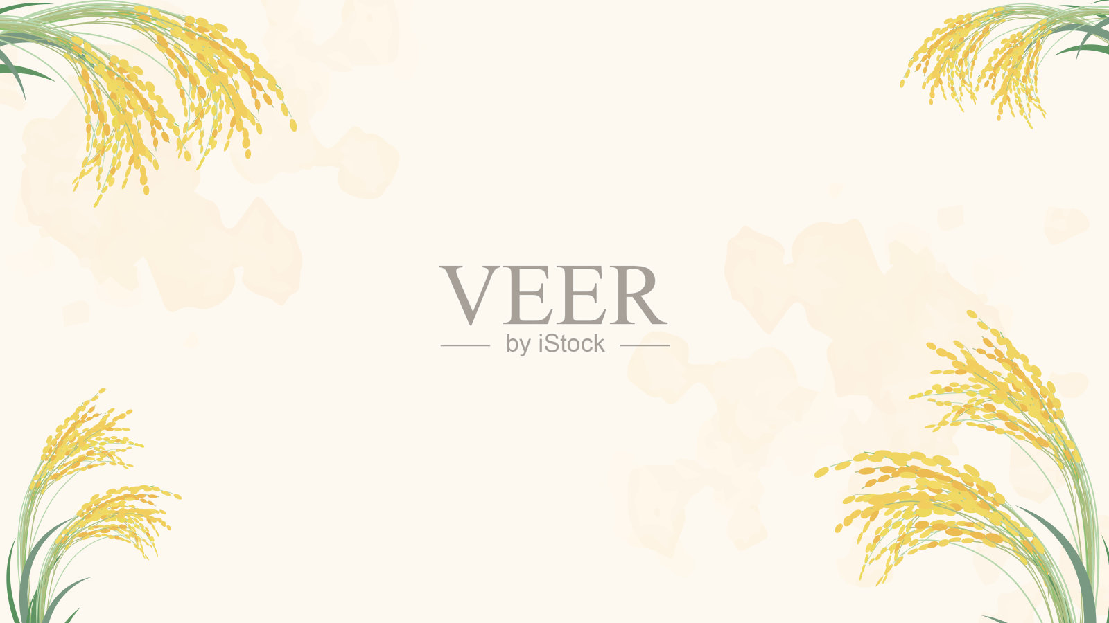 背景插图的现实稻穗。插画图片素材