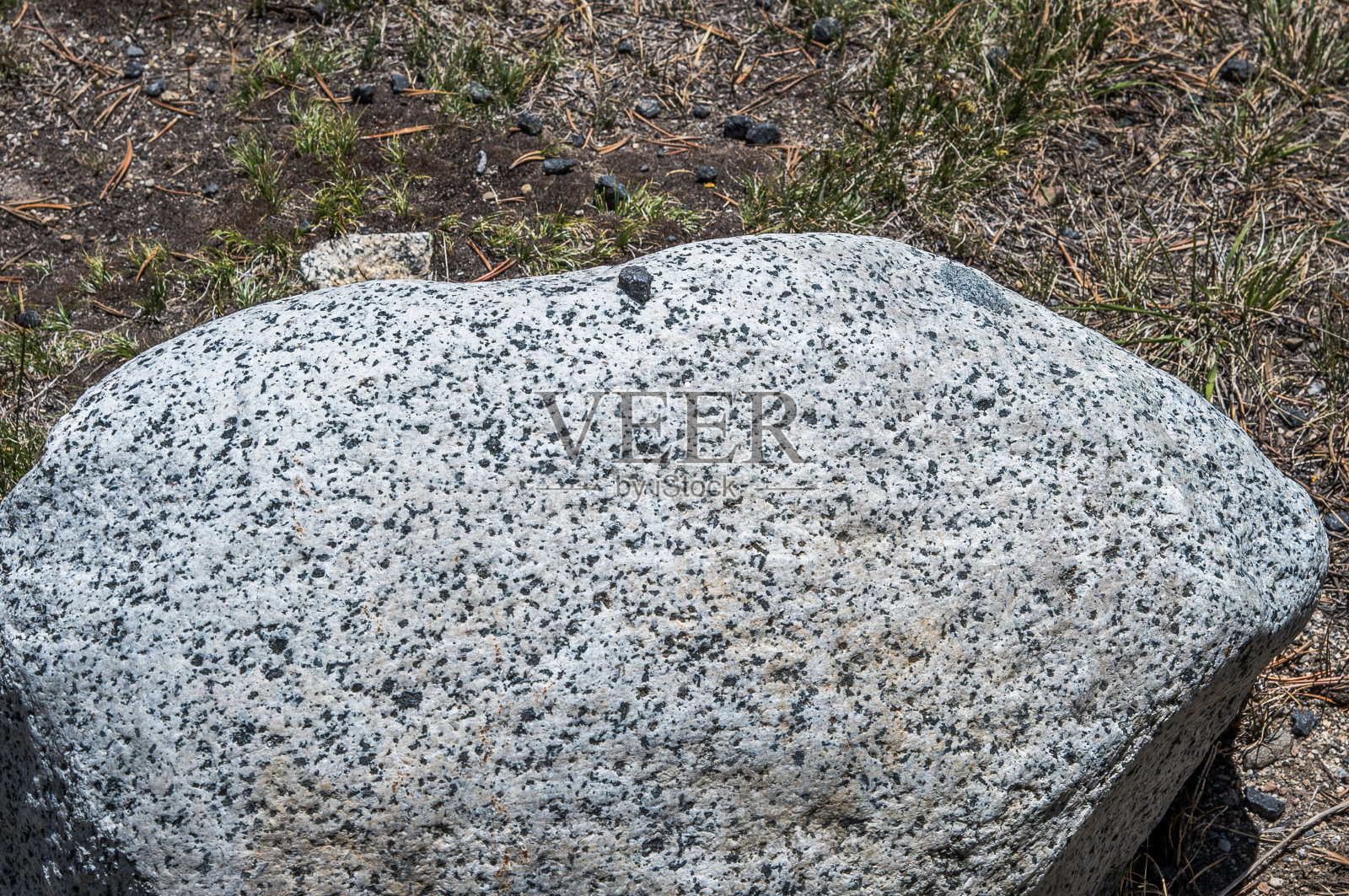 Tioga Pass Tuolumne Meadows照片摄影图片