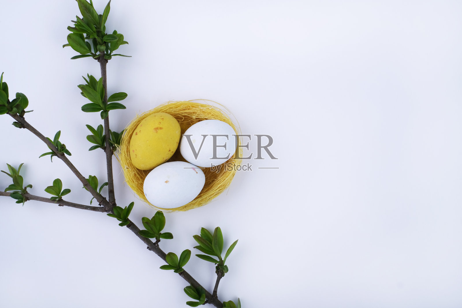 白色背景的复活节贺卡模型照片摄影图片