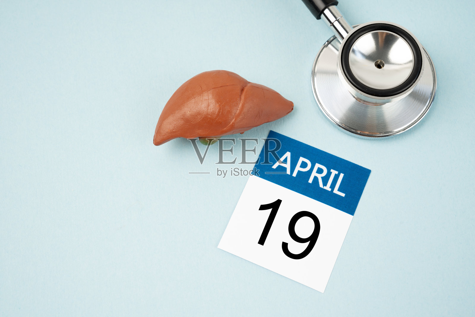 4月19日历和肝人工配听诊器医学。世界肝脏日概念。照片摄影图片