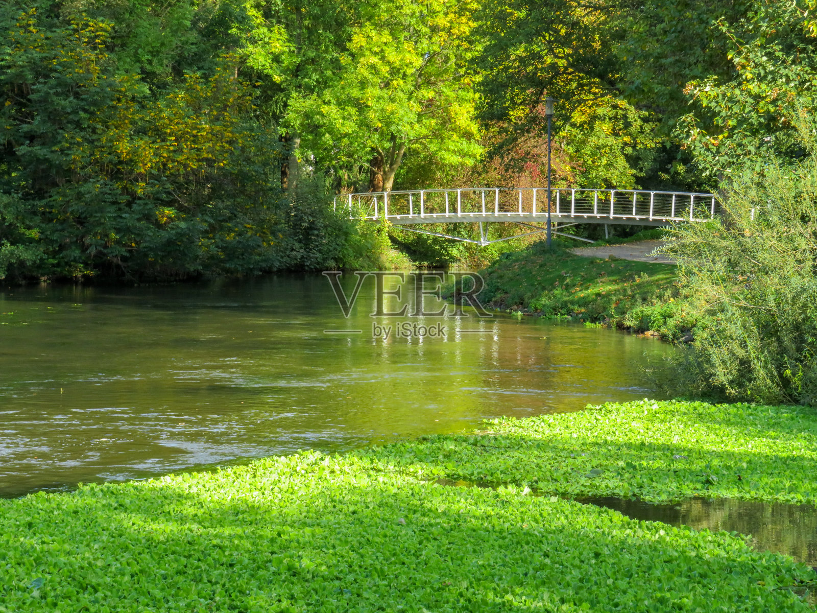 横跨厄夫特的桥照片摄影图片