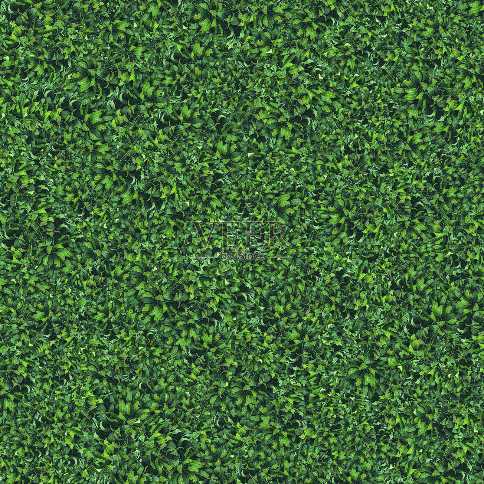 错综复杂的叶子随机图案照片摄影图片