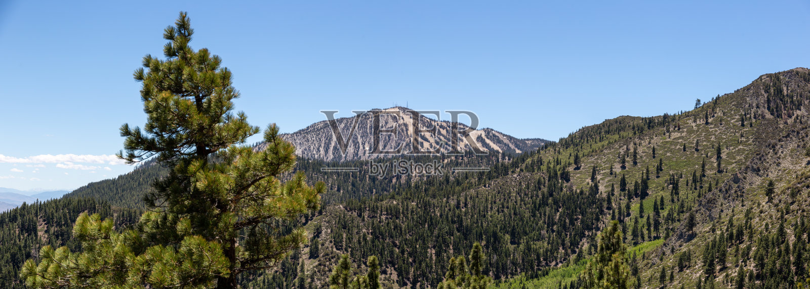 夏天的玫瑰山滑雪胜地照片摄影图片