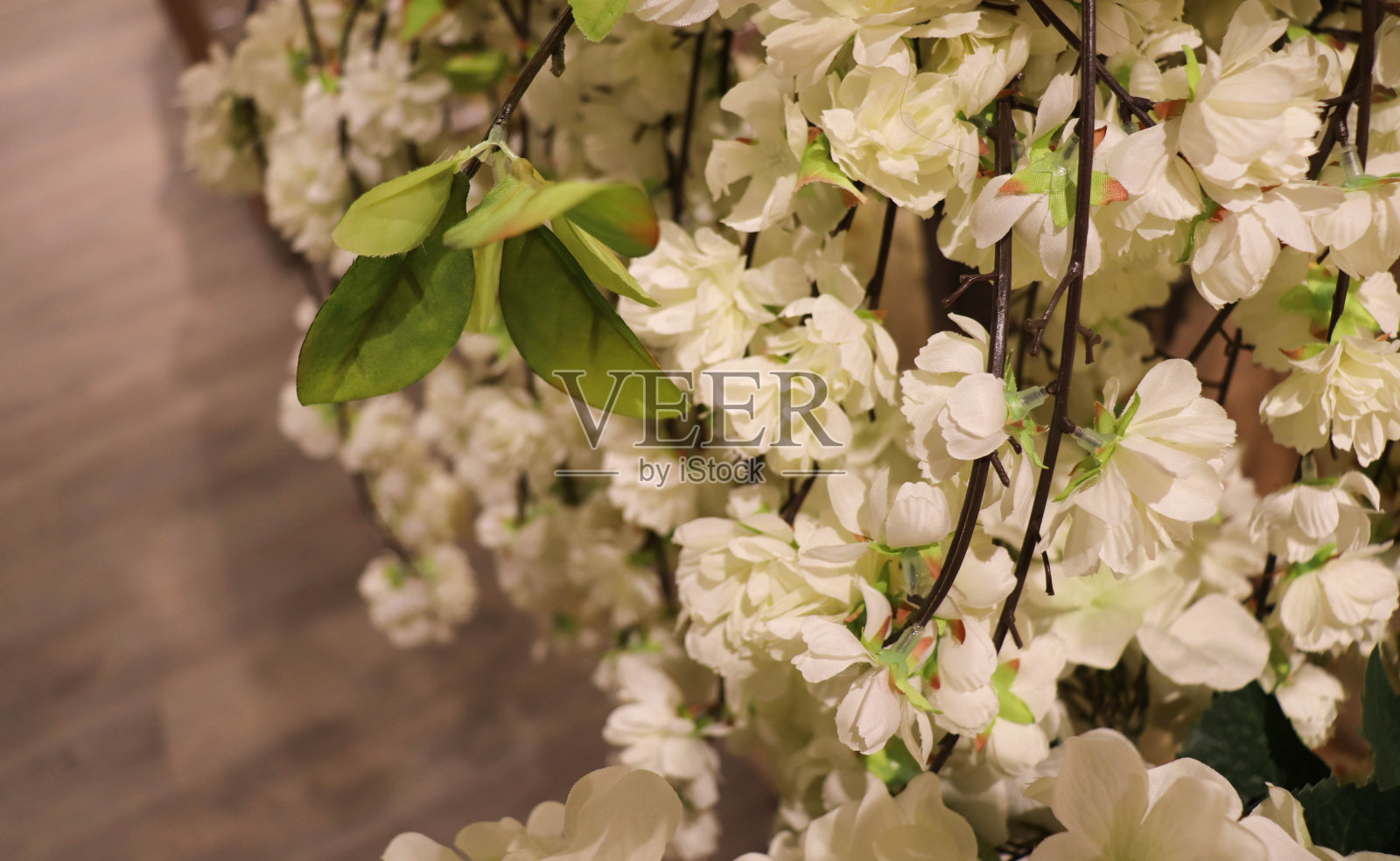 美丽的花卉背景照片摄影图片